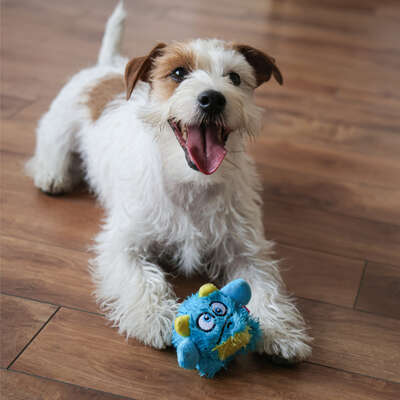 Brinquedo Pelúcia 2 em 1 Qmonster Baby Monster Gen 1 Azul para Cães