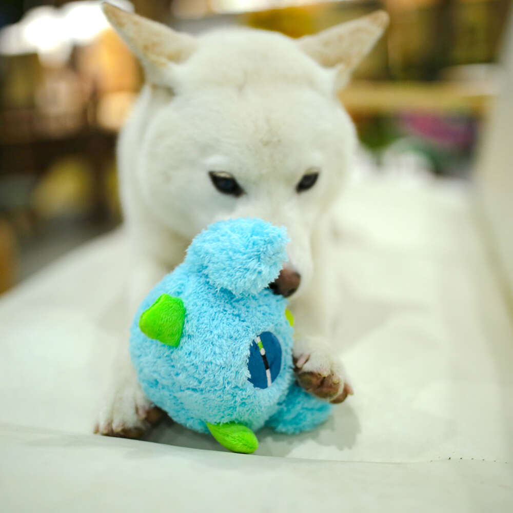 Brinquedo Pelúcia 2 em 1 Qmonster Baby Ciclope Azul para Cães - Tam. P