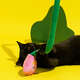 Brinquedo Pelúcia Zeze Varinha de Silicone Flor para Gatos