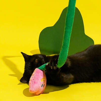 Brinquedo Pelúcia Zeze Varinha de Silicone Flor para Gatos