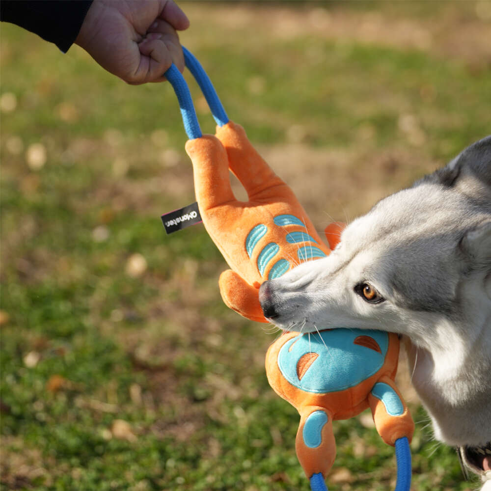 Brinquedo Pelúcia Qmonster Puxa Corda Coelho Shock Laranja e Azul para Cães - Tam. Único