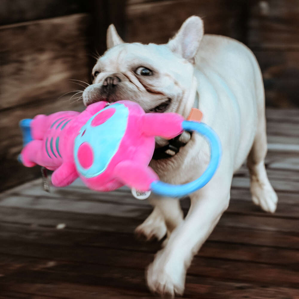 Brinquedo Pelúcia Qmonster Puxa Corda Coelho Shock Rosa e Azul para Cães - Tam. Único