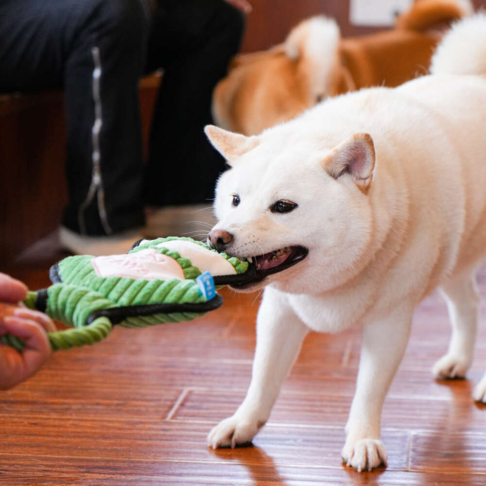 Brinquedo Pelúcia com Corda Qmonster Animais de Mãos Dadas Sapo Verde para Cães - Tam. Único