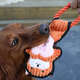Brinquedo Pelúcia com Corda Qmonster Animais de Mãos Dadas Raposa Laranja para Cães