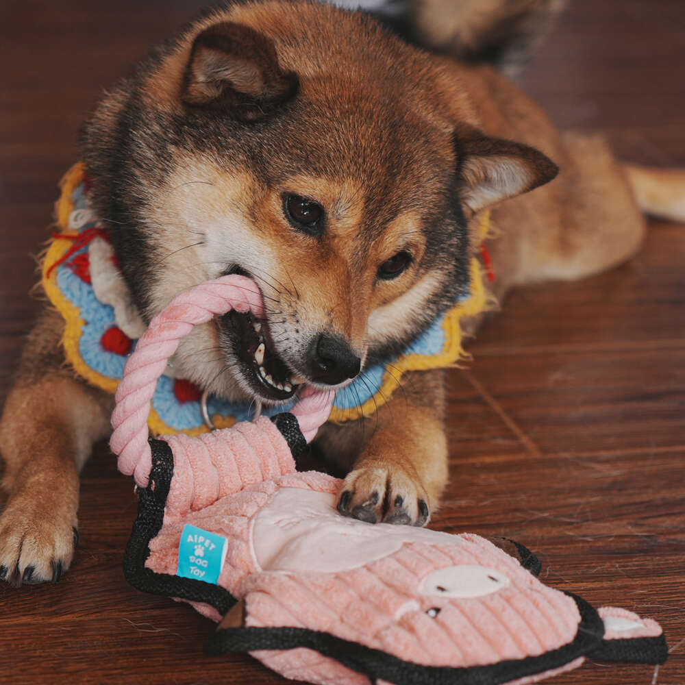 Brinquedo Pelúcia com Corda Qmonster Animais de Mãos Dadas Porco Rosa para Cães - Tam. Único