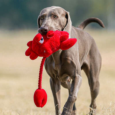 Brinquedo Pelúcia com Corda Qmonster Sr Caranguejo Vermelho para Cães
