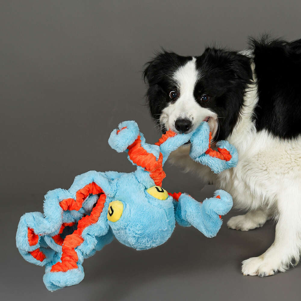 Brinquedo Pelúcia Qmonster Polvo Gigante Azul para Cães - Tam. Único