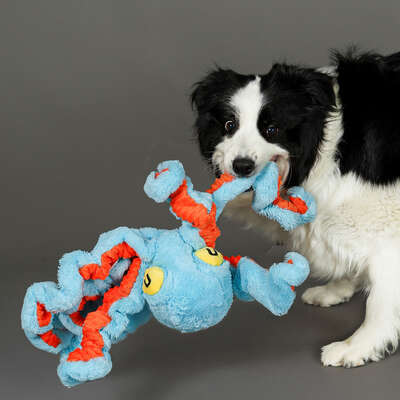 Brinquedo Pelúcia Qmonster Polvo Gigante Azul para Cães