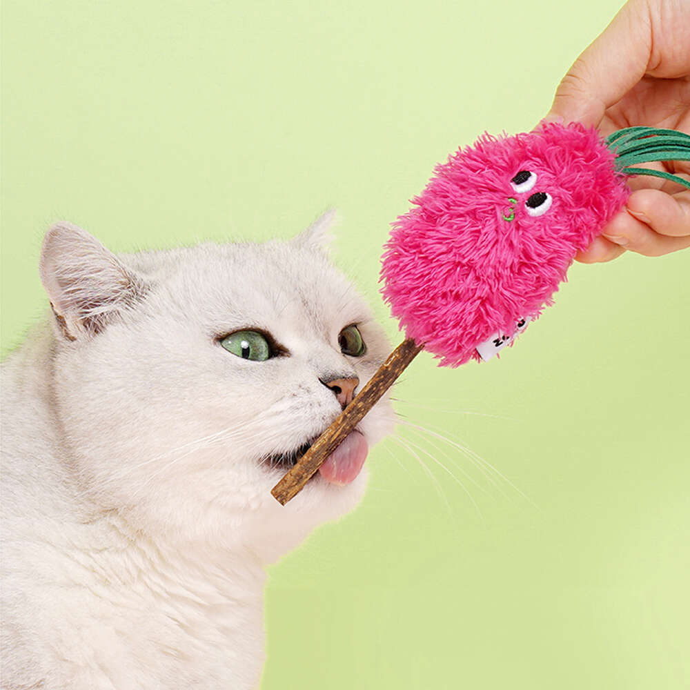 Brinquedo Pelúcia Zeze Espetinho Matatabi Setaria Rosa com Catnip para Gatos - Tam. Único