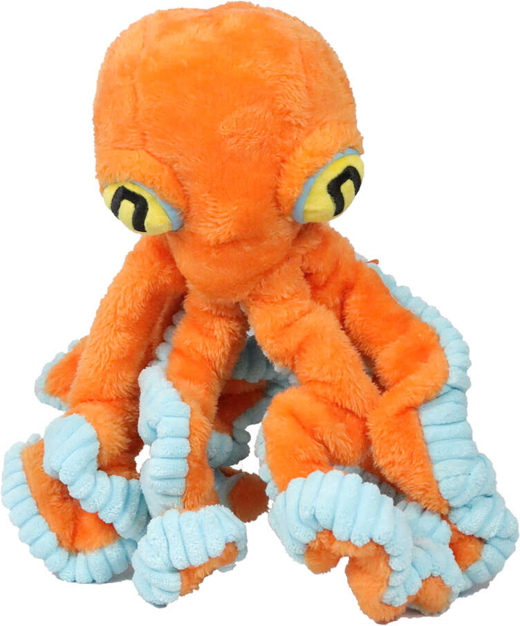 Brinquedo Pelúcia Qmonster Polvo Gigante Laranja para Cães - Tam. Único