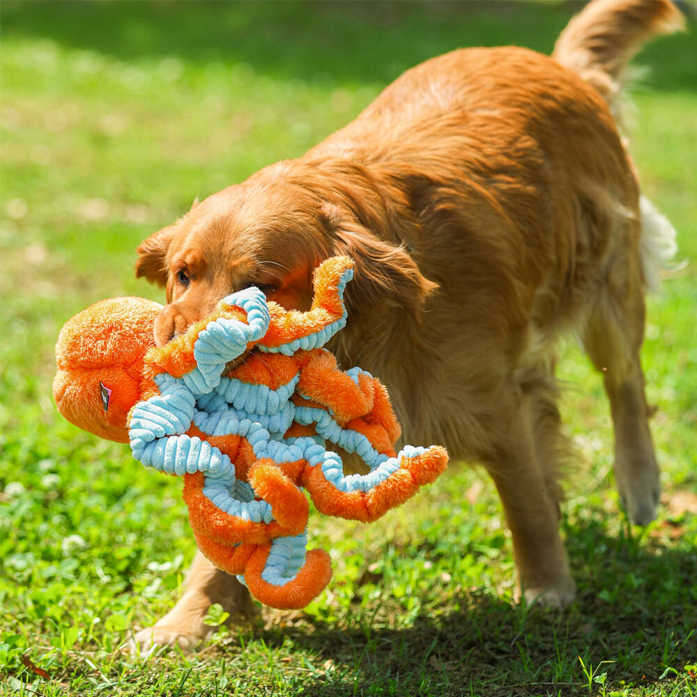 Brinquedo Pelúcia Qmonster Polvo Gigante Laranja para Cães - Tam. Único