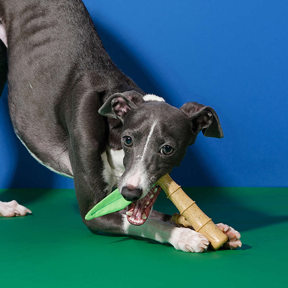Brinquedo Mordedor Zeze Bamboo para Cães - Tam. Único