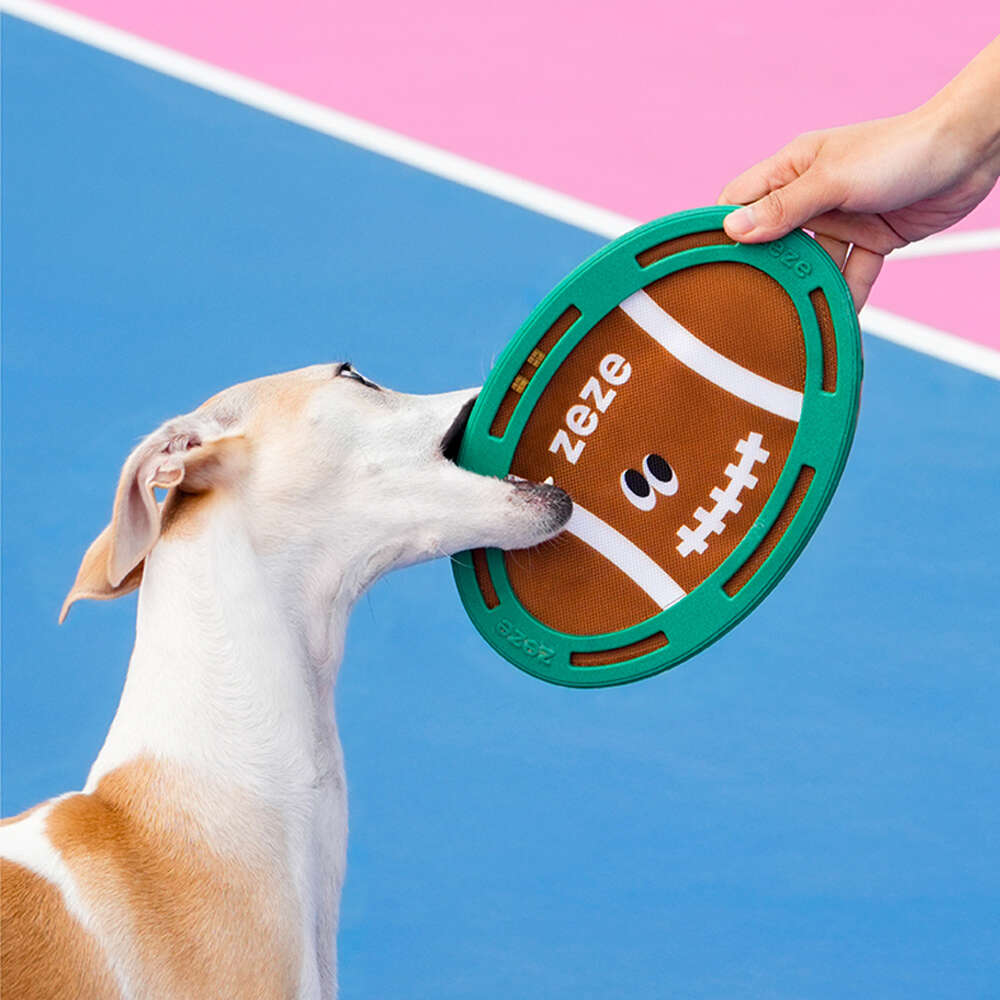 Brinquedo Mordedor Zeze Frisbe Rugby para Cães - Tam. Único