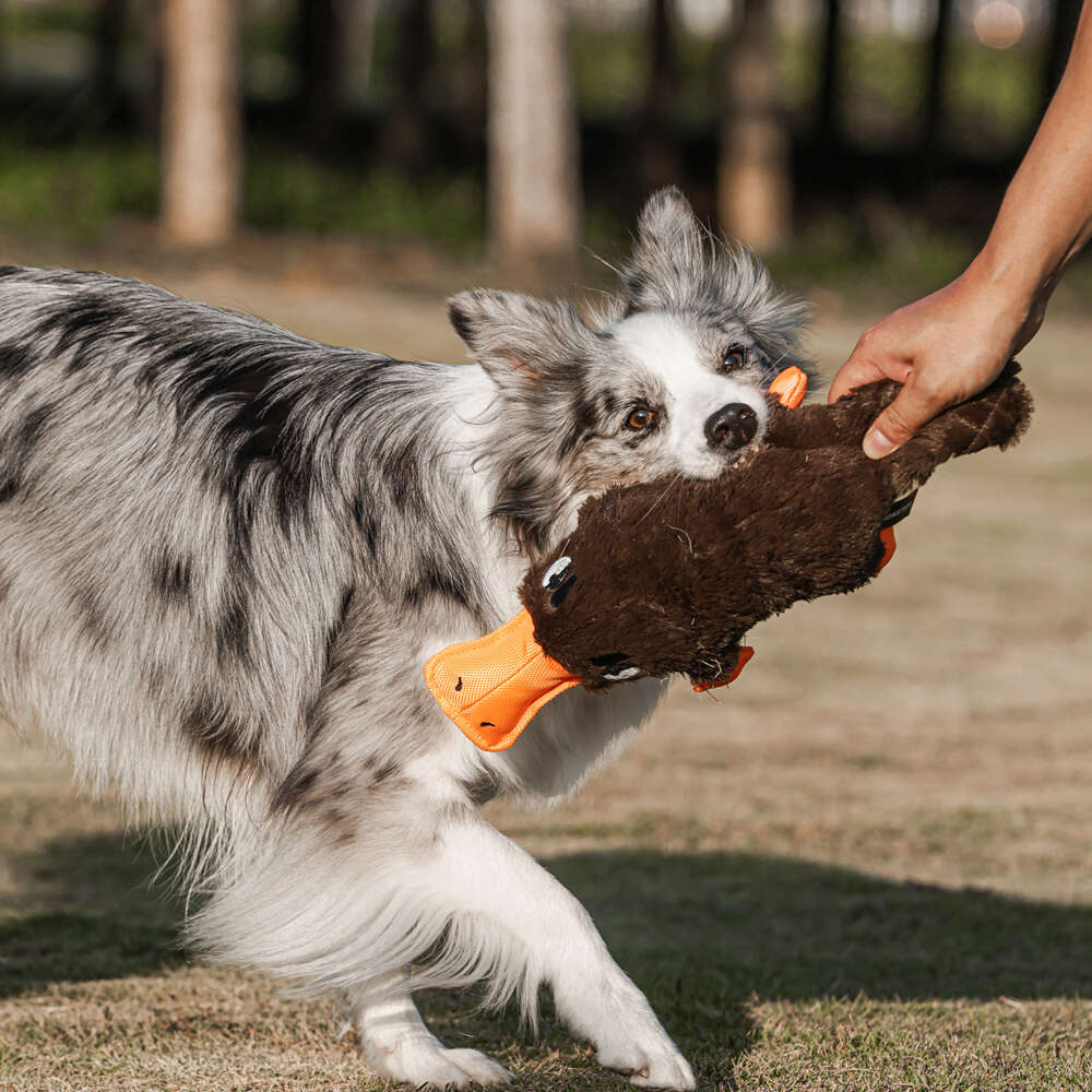 Brinquedo Pelúcia Qmonster Ornitorrinco Marrom para Cães - Tam. Único