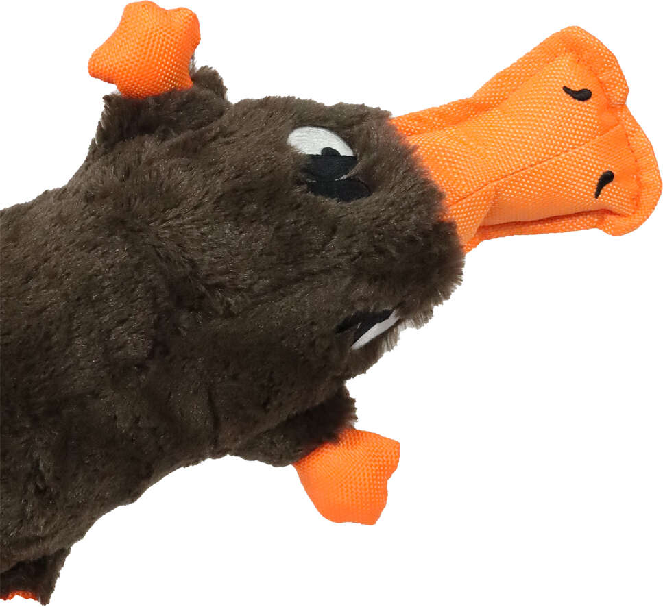 Brinquedo Pelúcia Qmonster Ornitorrinco Marrom para Cães - Tam. Único