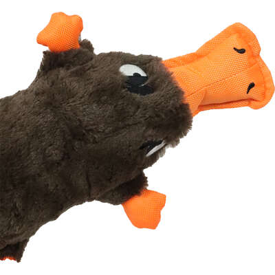 Brinquedo Pelúcia Qmonster Ornitorrinco Marrom para Cães