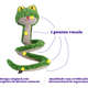 Brinquedo Pelúcia Qmonster Cobra de Mola Verde para Cães