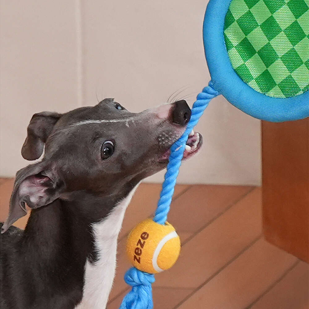 Brinquedo Pelúcia Zeze Mordedor Corda Kit Tennis Azul para Cães - Tam. Único