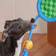 Brinquedo Pelúcia Zeze Mordedor Corda Kit Tennis Azul para Cães