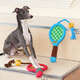 Brinquedo Pelúcia Zeze Mordedor Corda Kit Tennis Azul para Cães