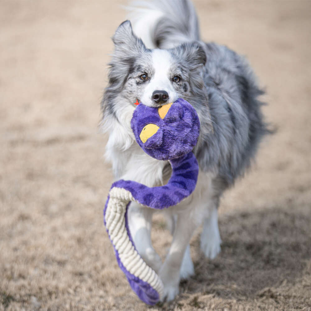 Brinquedo Pelúcia Qmonster Cobra de Mola Roxo para Cães - Tam. Único