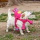 Brinquedo Pelúcia Qmonster Coelho Puxa Puxa Rosa para Cães