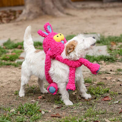 Brinquedo Pelúcia Qmonster Coelho Puxa Puxa Rosa para Cães