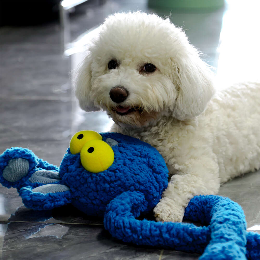 Brinquedo Pelúcia Qmonster Coelho Puxa Puxa Azul para Cães - Tam. Único