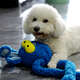 Brinquedo Pelúcia Qmonster Coelho Puxa Puxa Azul para Cães