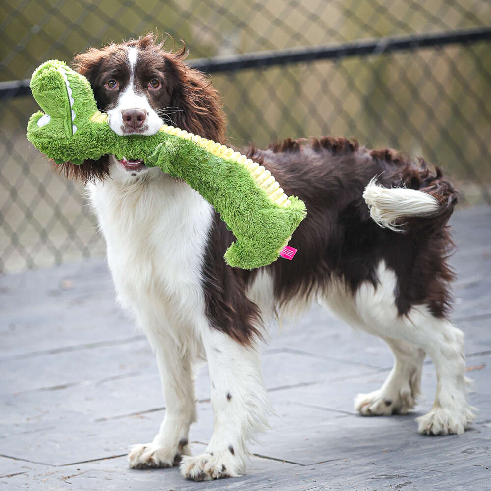 Brinquedo Pelúcia Qmonster Crocodilo Pescoço Comprido Verde para Cães - Tam. Único
