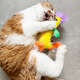 Brinquedo Pelúcia Qmonster Stickman com Catnip Amarelo para Gatos