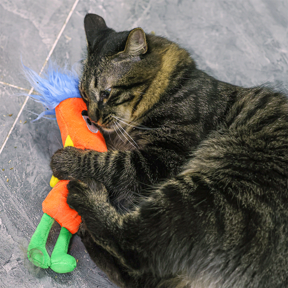 Brinquedo Pelúcia Qmonster Stickman com Catnip Laranja para Gatos - Tam. Único