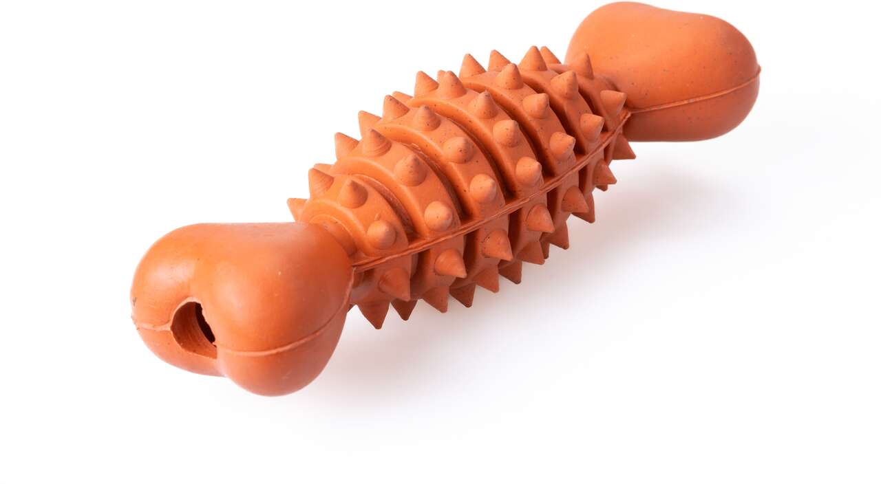 Brinquedo Mordedor Future Pet Osso Coração de Borracha Natural para Cães - Tam. M