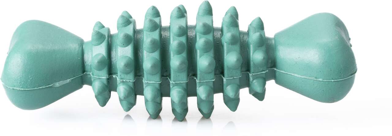 Brinquedo Mordedor Future Pet Osso Coração de Borracha Natural para Cães - Tam. P