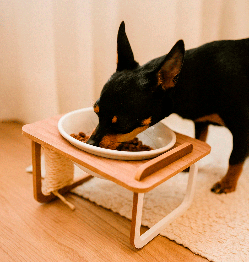 Comedouro Bastet Hórus para Cães Rosa - Tam. Único