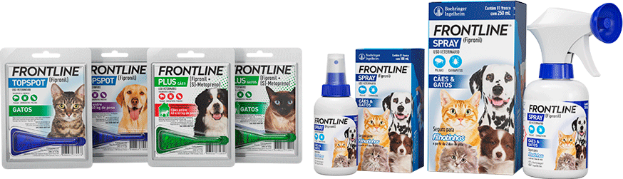 Antipulgas e Carrapatos Frontline Plus para Gatos - 1 Pipeta