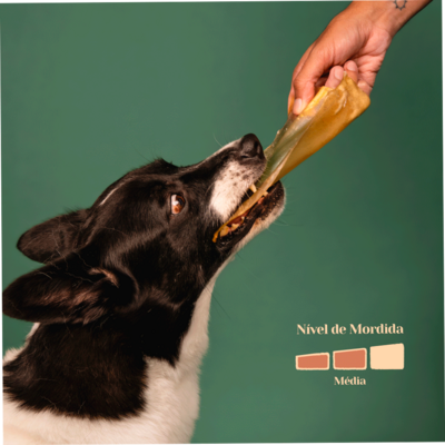 Petisco Mastigável Liva Natural Orelha Bovina para Cães