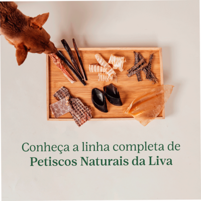 Petisco Mastigável Liva Natural Orelha Bovina para Cães