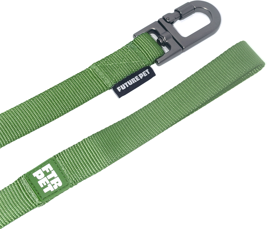 Guia Future Pet Verde Pistache para Cães - Tam. P