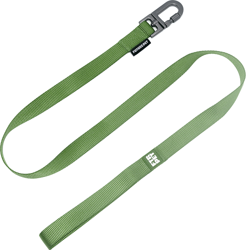 Guia Future Pet Verde Pistache para Cães - Tam. P