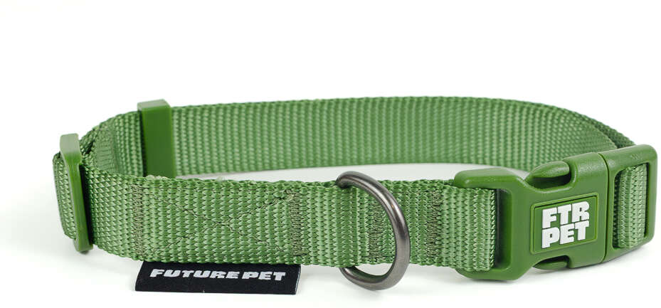 Coleira Future Pet Verde Pistache para Cães - Tam. P