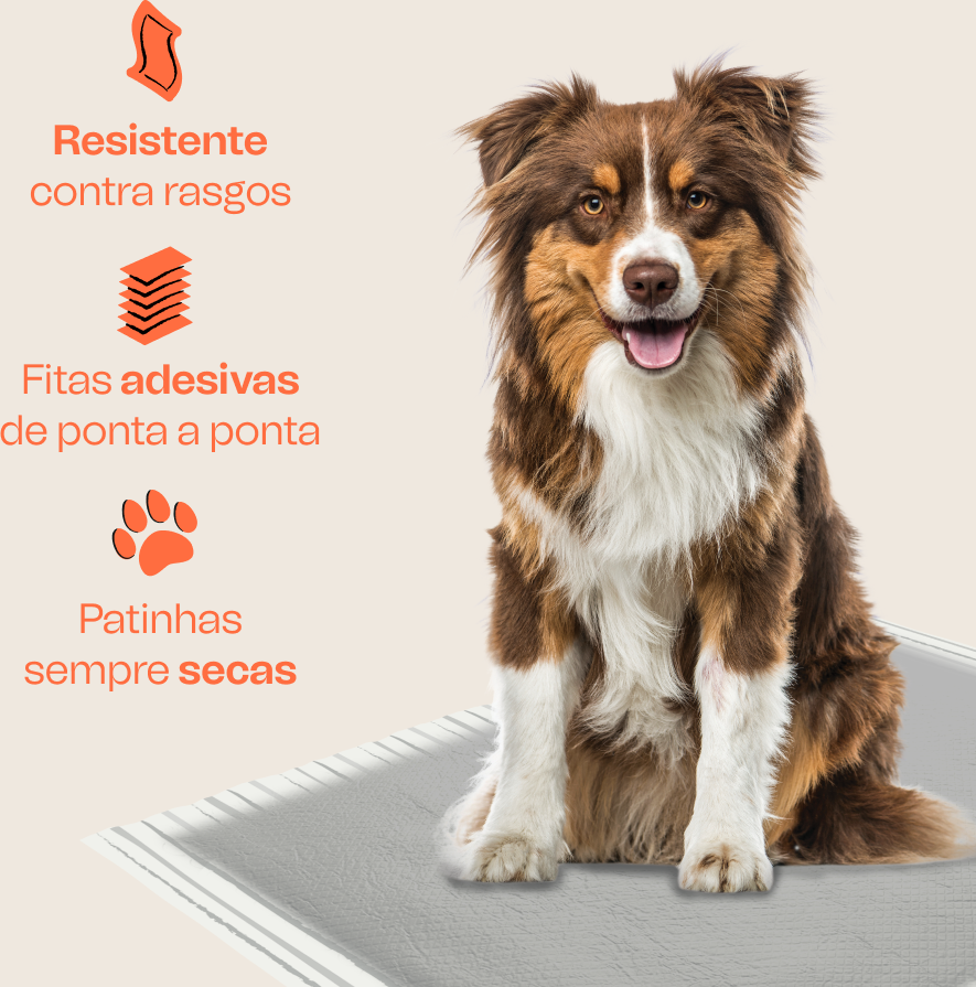 Tapete Higiênico Meau Premium com Carvão Ativado para Cães - 30 Unidades