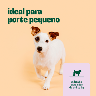 Tapete Higiênico Biodegradável Ecoa para Cães