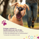Antiparasitário MSD Defenza 45 mg para Cães