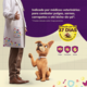 Antiparasitário MSD Defenza 100 mg para Cães