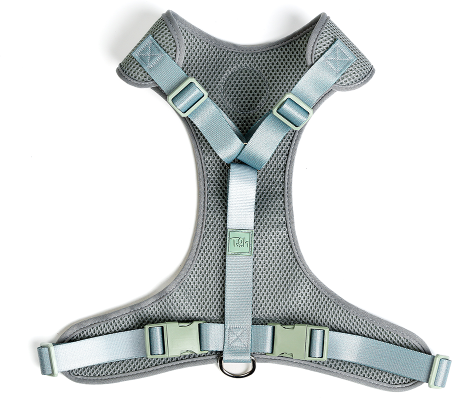 Conjunto Peitoral Mesh H e Guia Toh Alga para Cães - Tam. M