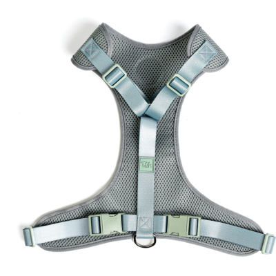 Conjunto Peitoral Mesh H e Guia Toh Alga para Cães