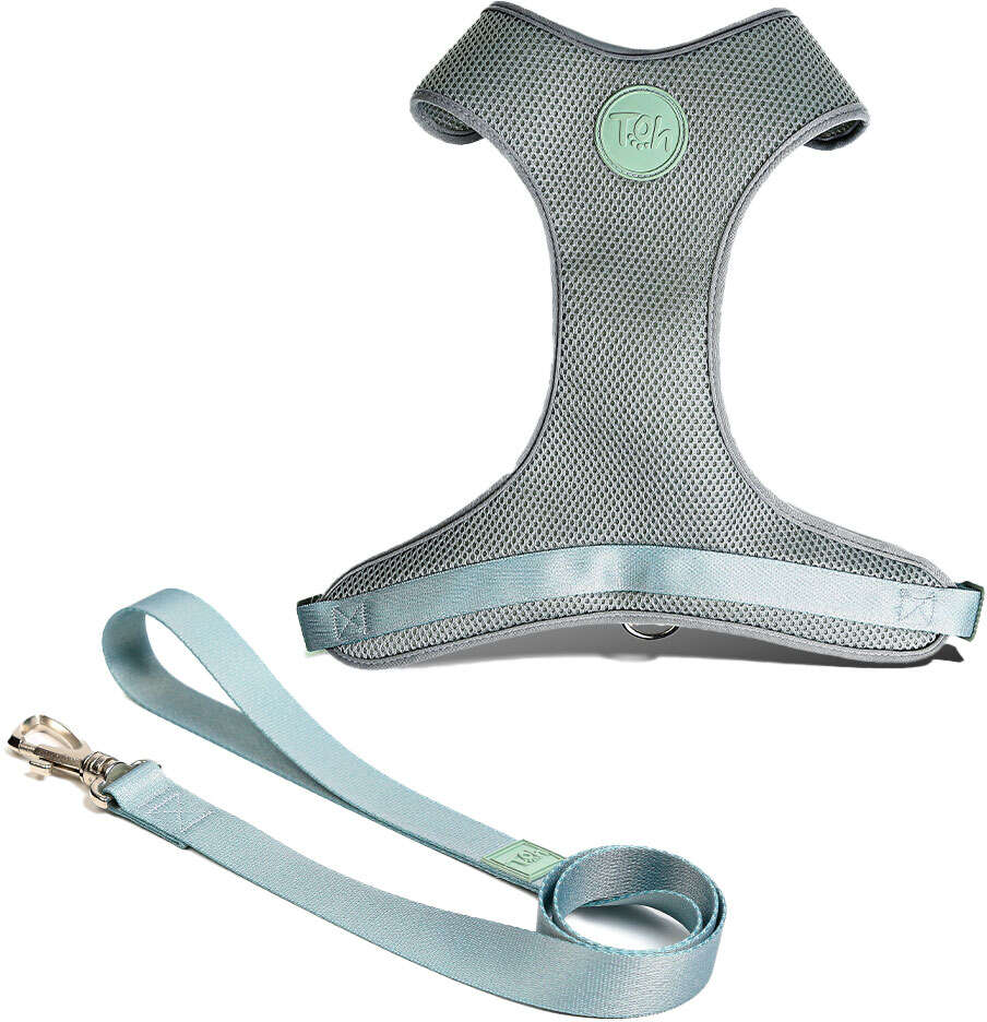 Conjunto Peitoral Mesh H e Guia Toh Alga para Cães - Tam. M