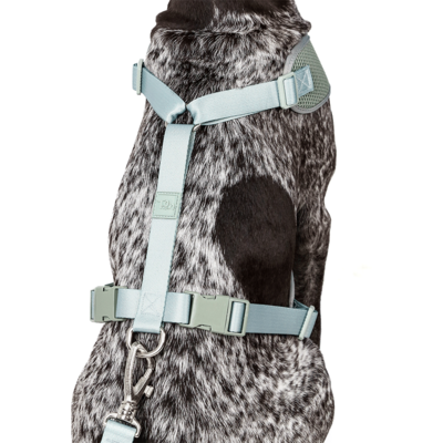 Conjunto Peitoral Mesh H e Guia Toh Alga para Cães