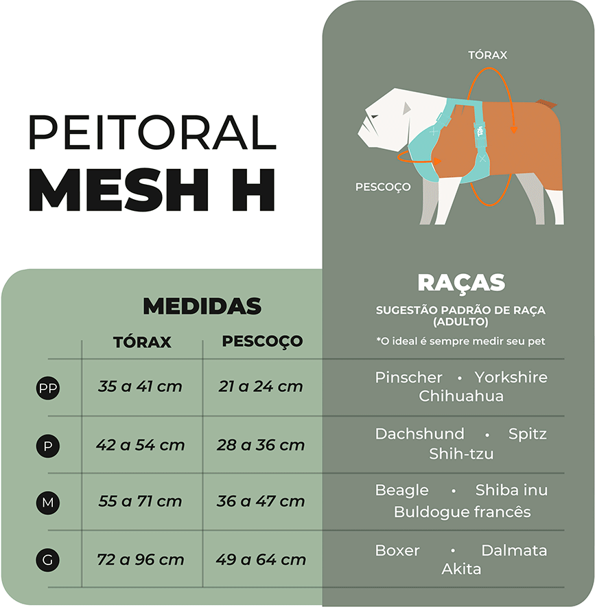 Conjunto Peitoral Mesh H e Guia Toh Bruma para Cães - Tam. P